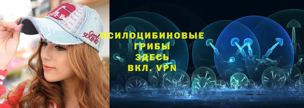 mdpv Арсеньев